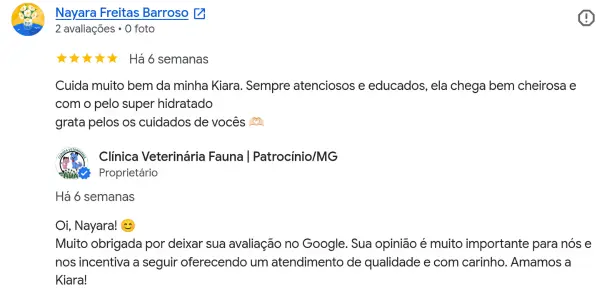 Avaliação de Nayara Freitas no Google Perfil de Empresas