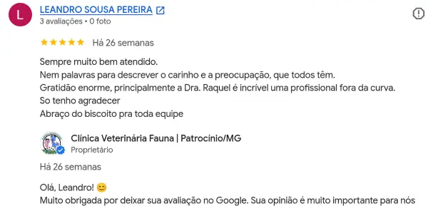 Avaliação de Leandro Sousa no Google Perfil de Empresas