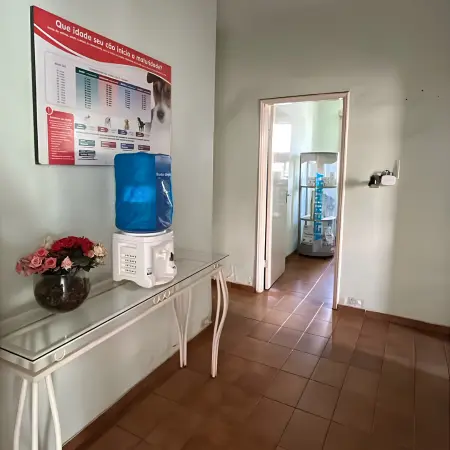 Recepção para aguardar a realização de exames nos pets